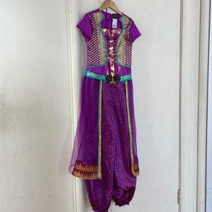 Disney costume. Aladdin’s Jasmin.